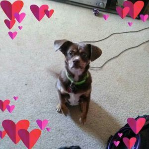 Meet your Posher, Terrie